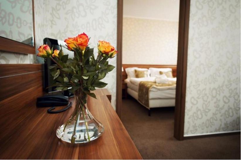 Wellness Hotel Spark Малацки Стая снимка